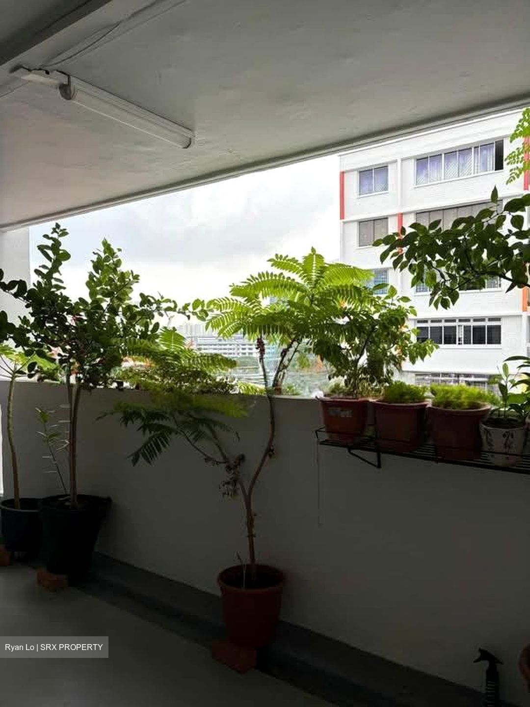 Blk 111 Bishan View (Bishan), HDB 4 Rooms #579260201